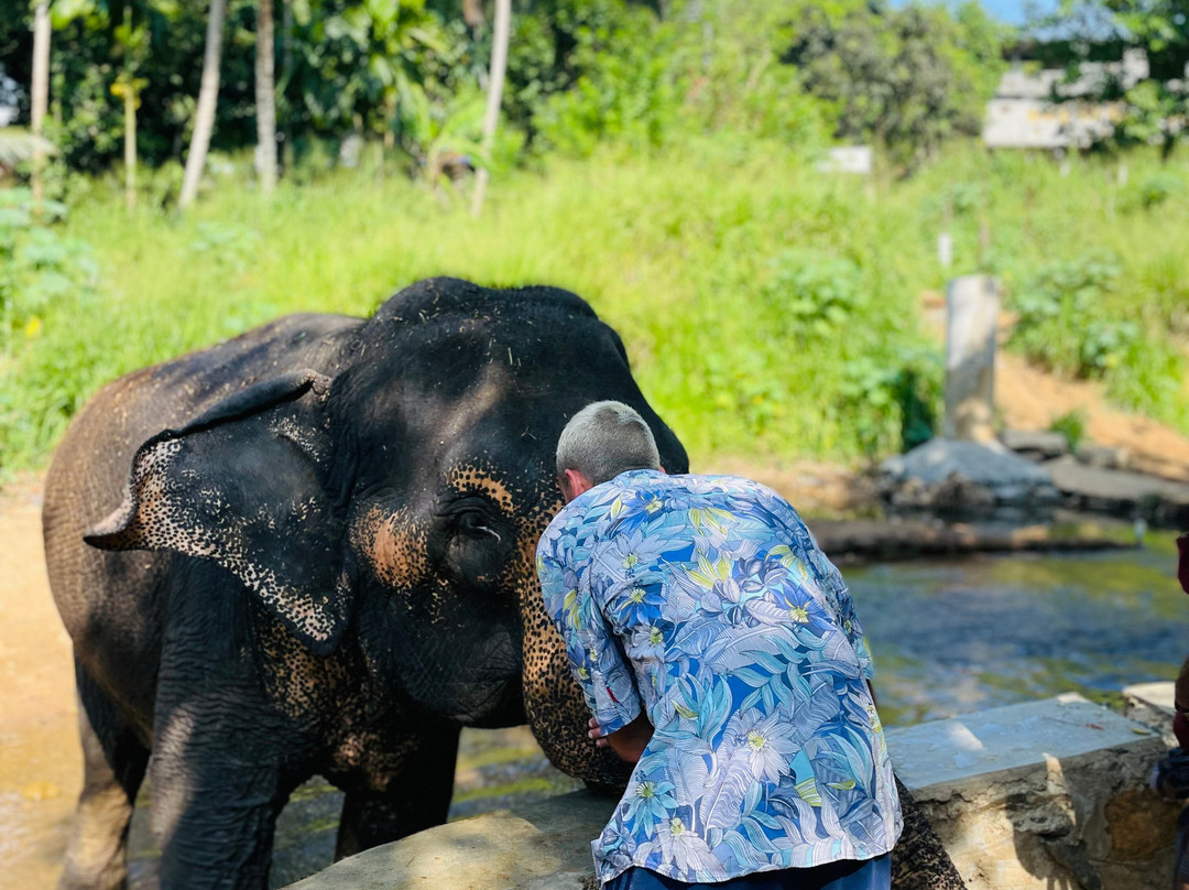 Elephant Freedom Project-凯格勒 必去景点
