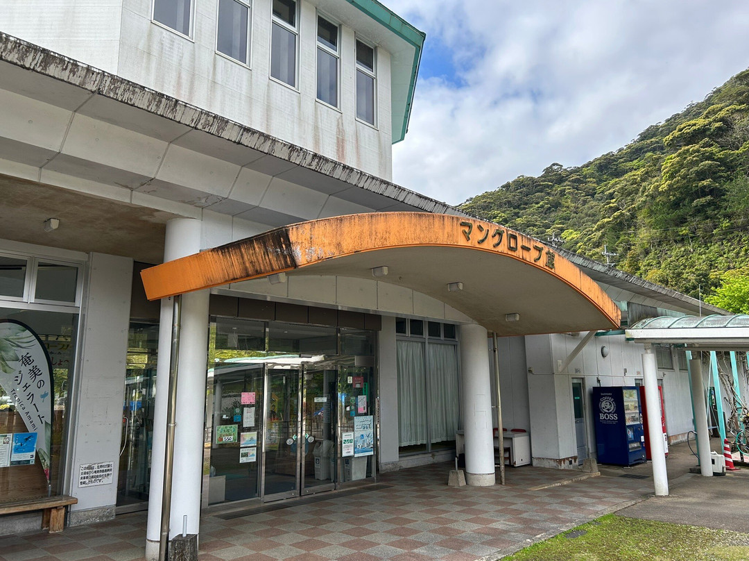 Kuroshio no Mori Mangrove Park-奄美市必去景点