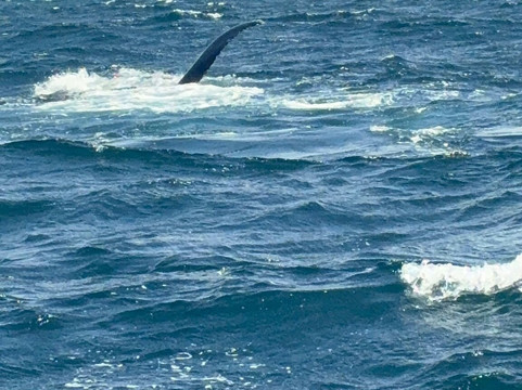 Gregory Tours Samana-Santa Barbara de Samana必去景点