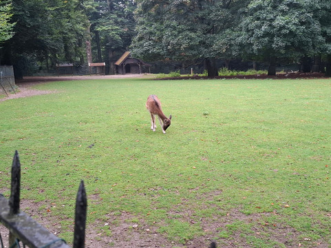Park Hartenstein-Oosterbeek必去景点