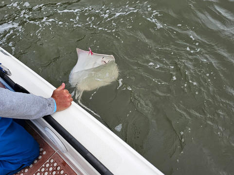 Sunset Glow Guide Service-Cook必去景点