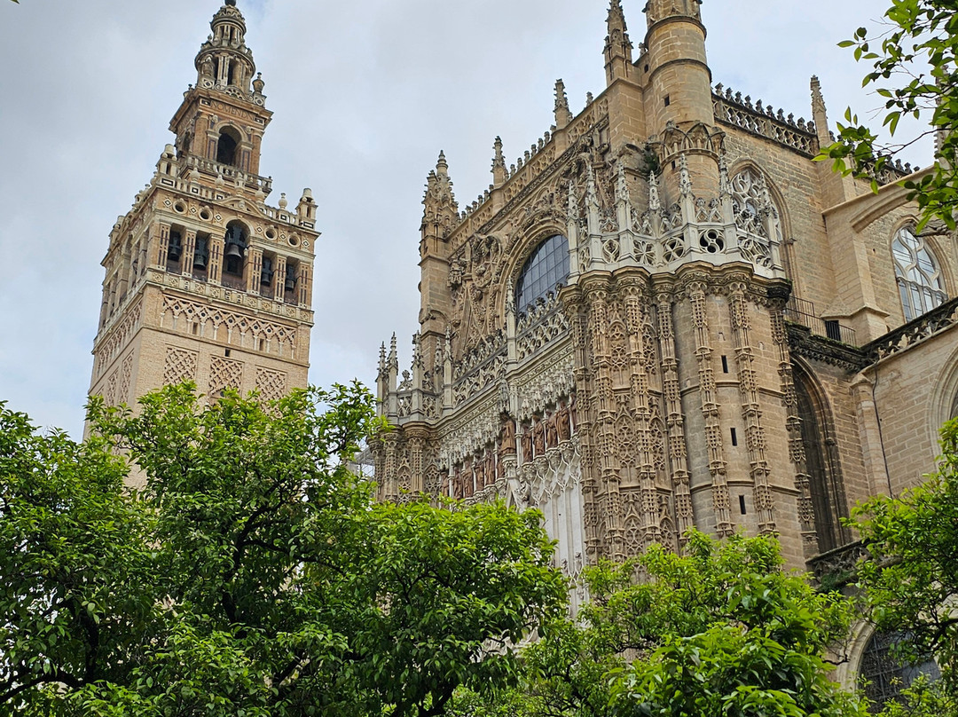 Naturanda Turismo Ambiental-塞维利亚必去景点