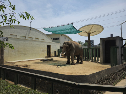 神户市立王子动物园-神户市必去景点