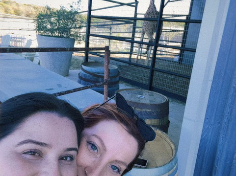 Grapetown Vineyard-弗雷德里克斯堡必去景点