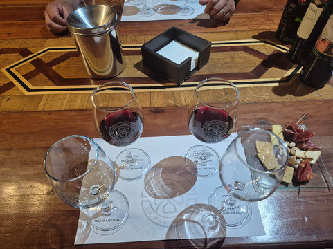 Vina El Escorial de Panquehue-San Felipe必去景点