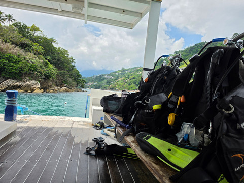 Narwhal-伊利亚贝拉必去景点