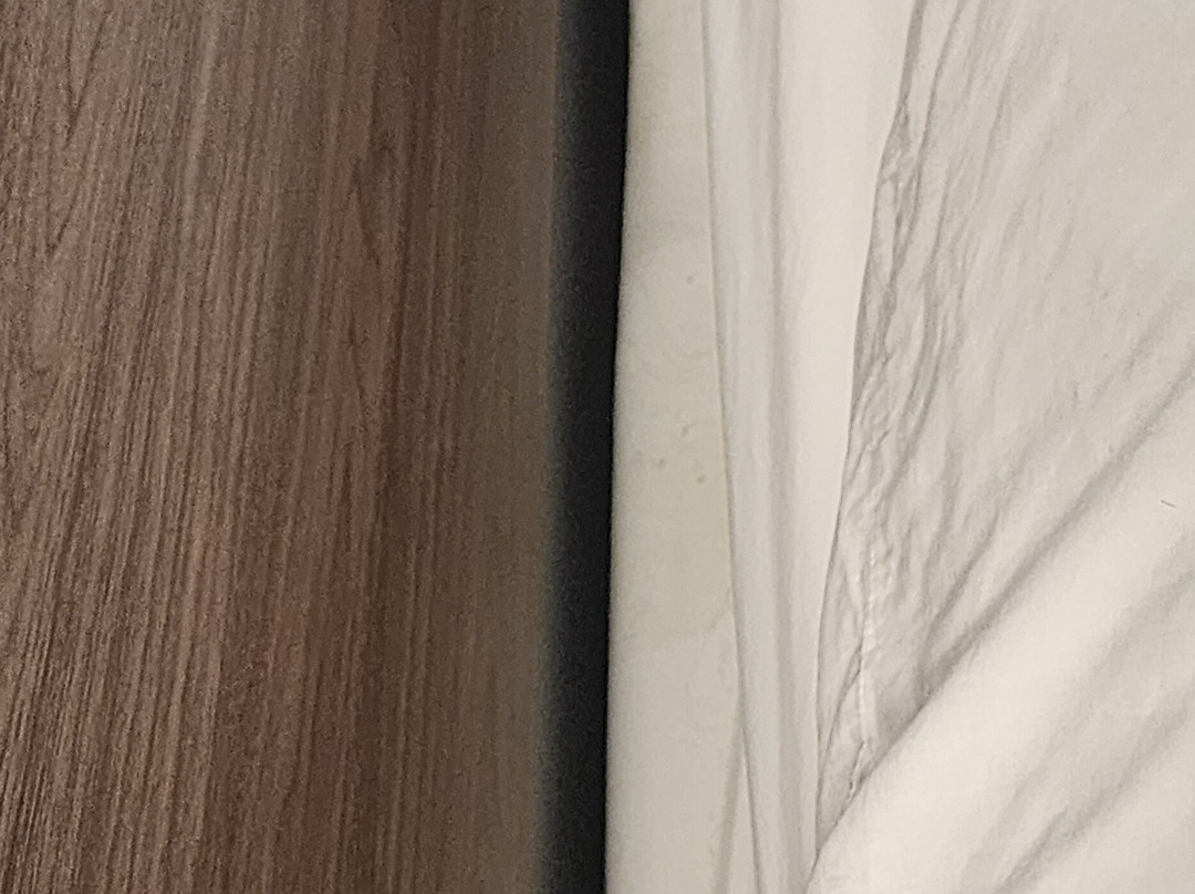 海狸水坝美吟温德姆酒店主图