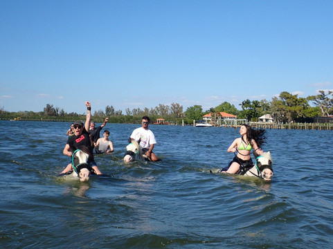 C Ponies Beach Horseback Rides-布雷登顿必去景点
