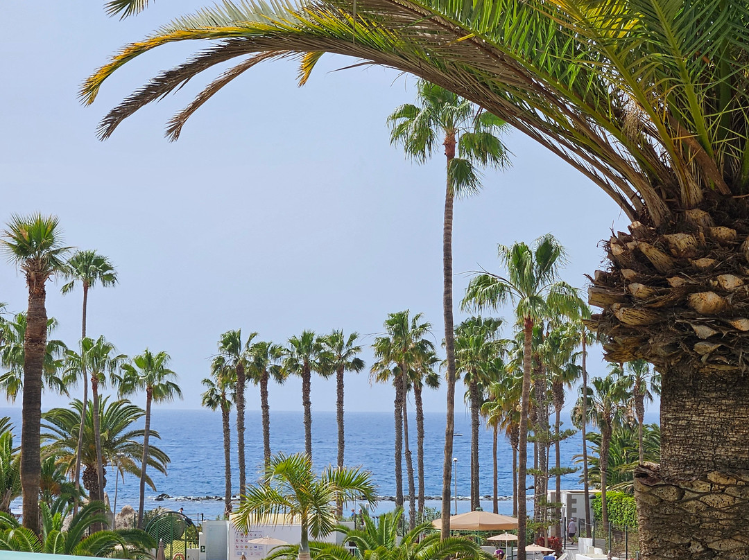 Altamira Apartments主图