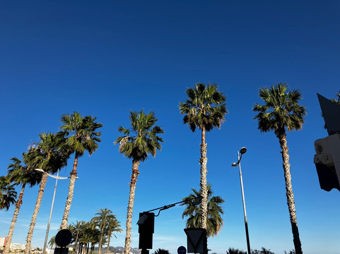 Platja de la Vila Joiosa