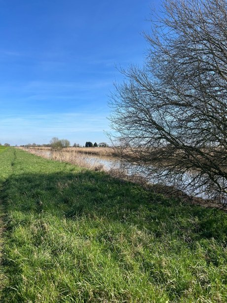 雾都孤儿乡村住宿加早餐旅馆-旅行者