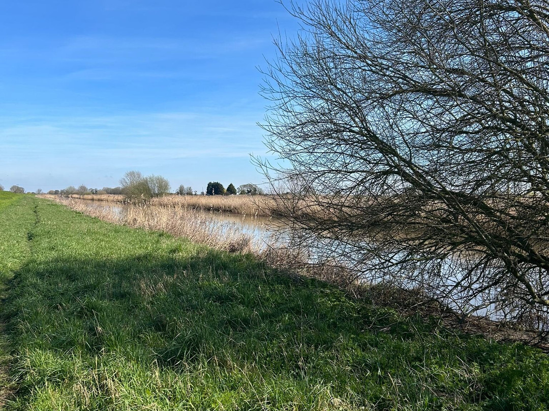 雾都孤儿乡村住宿加早餐旅馆主图