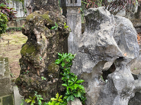 Hoa Lư Ancient Capital-宁平必去景点