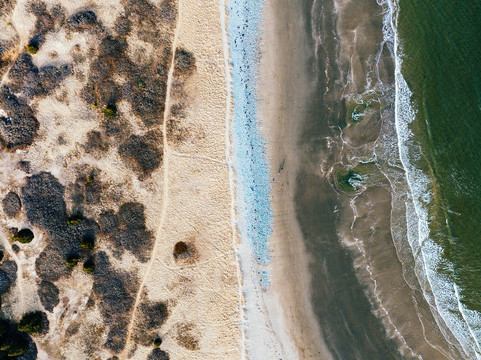 Rainbow Haven Beach Provincial Park-Cow Bay必去景点