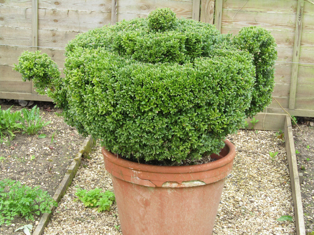 Barnsdale Gardens-奥克姆必去景点