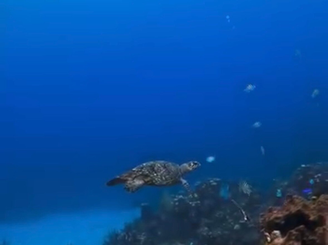 Fenix Red Sea-Hurghada 2必去景点