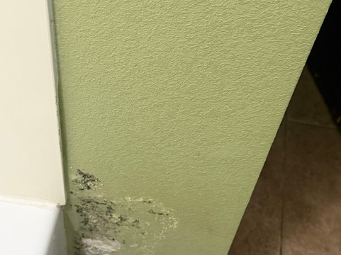 新奥尔良机场南舒适酒店主图