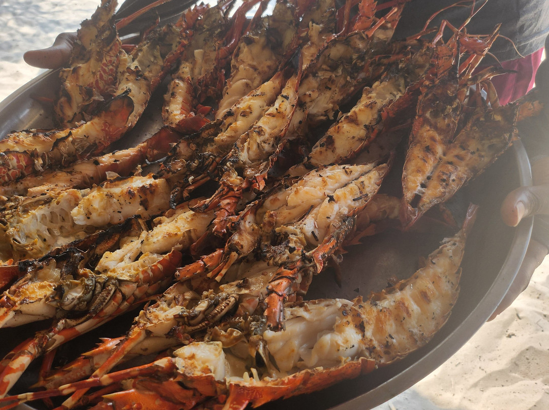 Jacarondo Safari Kenya-瓦塔木必去景点