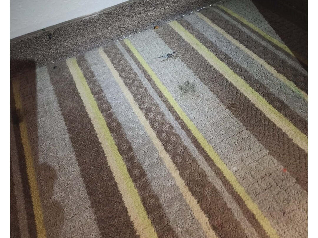 蒙特格尔速8酒店主图