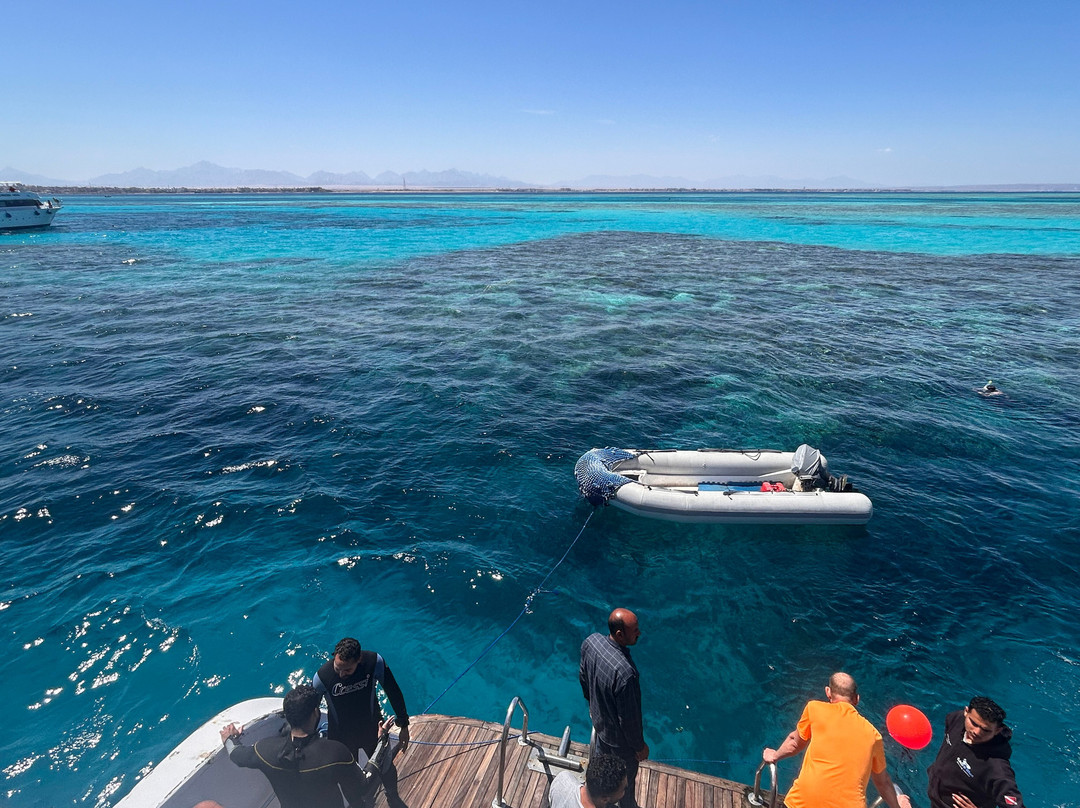 Tauchen Hurghada Gagoblue - Deutsche Tauchschule in Hurghada.-赫尔格达必去景点