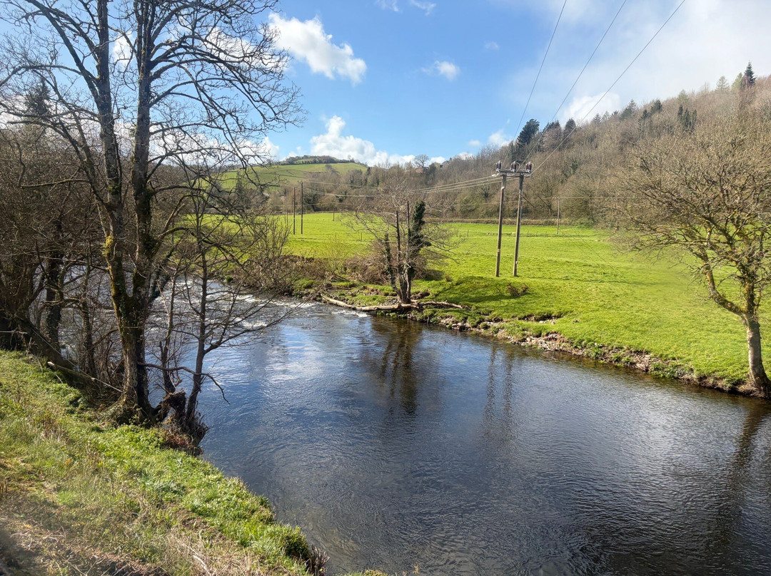 South Devon Railway-Buckfastleigh必去景点