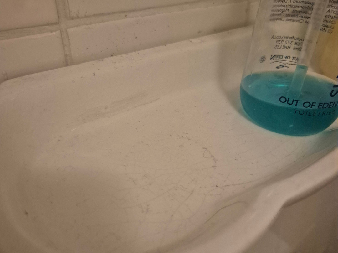 紫丁香住宿加早餐旅馆主图