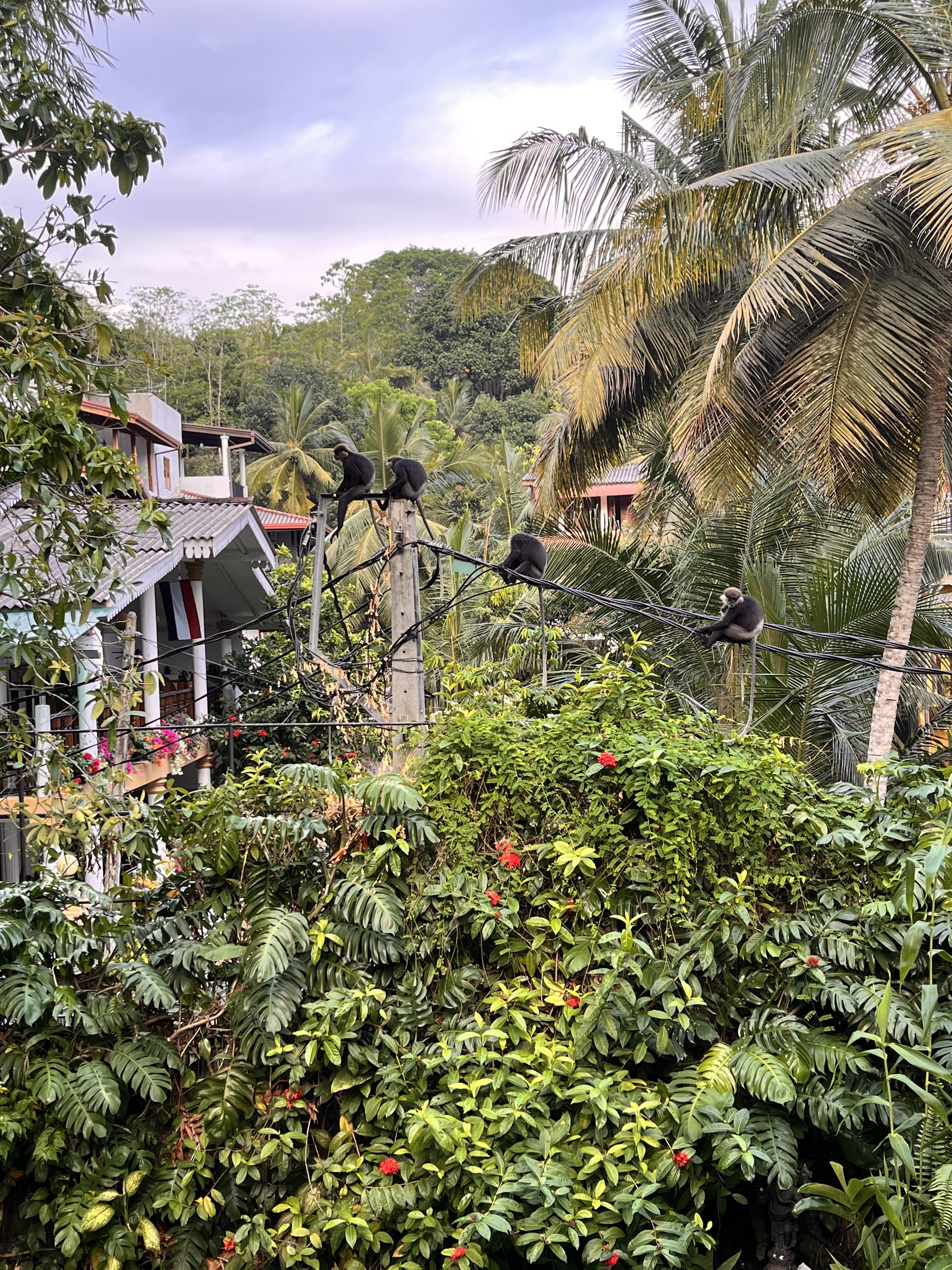 塔巴派尼度假酒店-官方