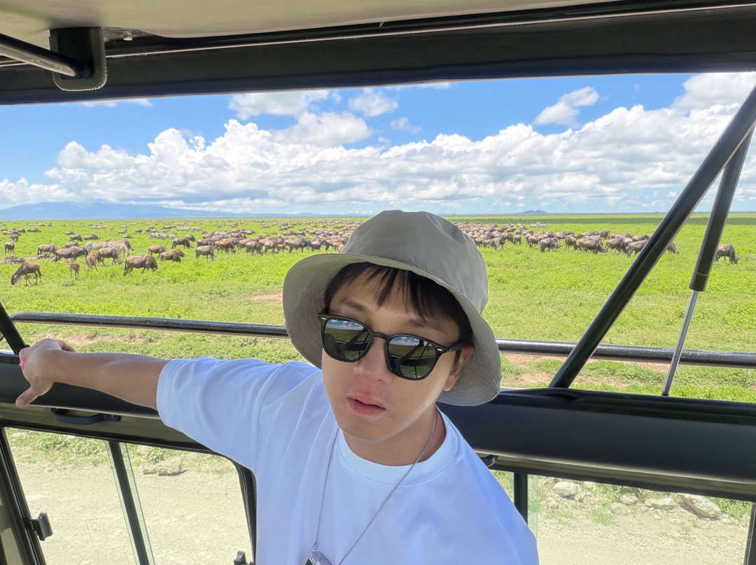 Serengeti Silence - A Tour Operator-阿鲁沙必去景点
