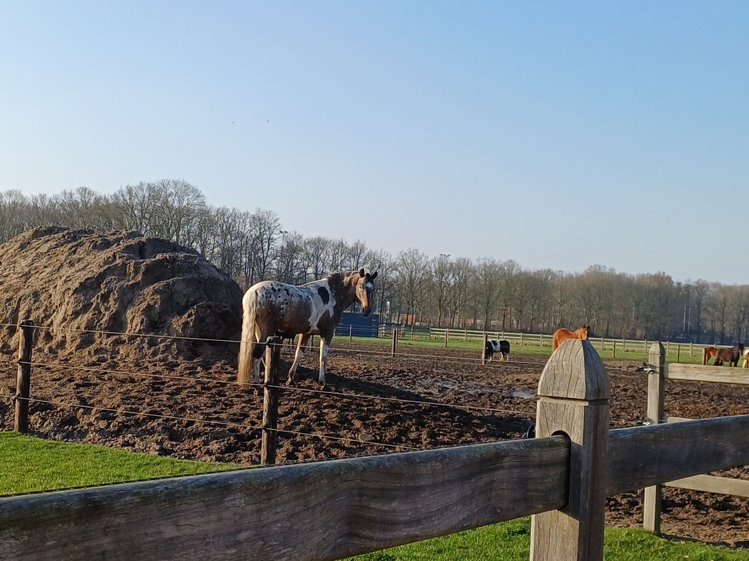 De Smulhoeve-卡特斯维尔必去景点