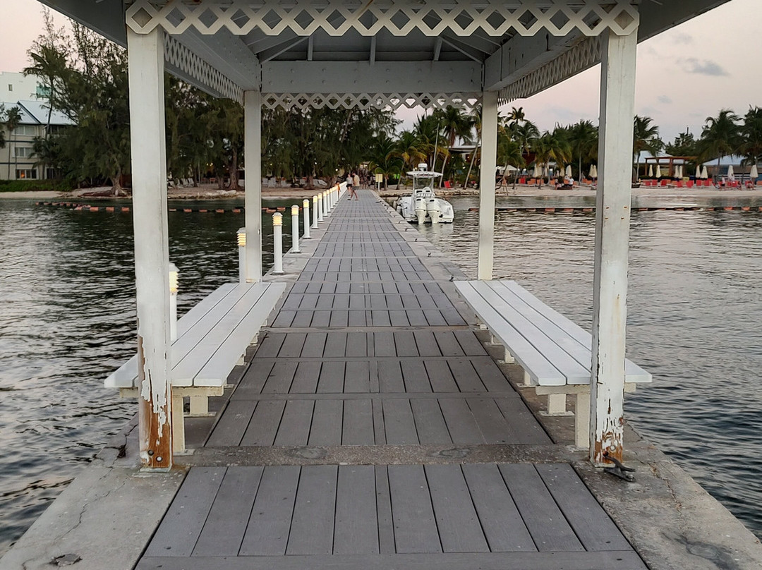 Cayman Kayaks-Rum Point必去景点