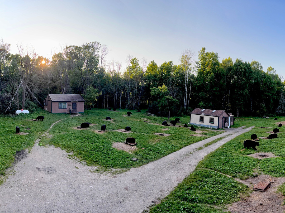 Vince Shute Wildlife Sanctuary-Orr必去景点