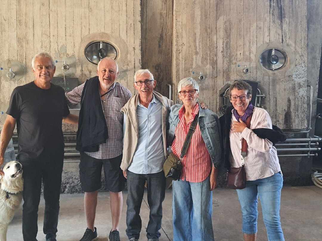 Viña Las Araucarias-Melipilla必去景点