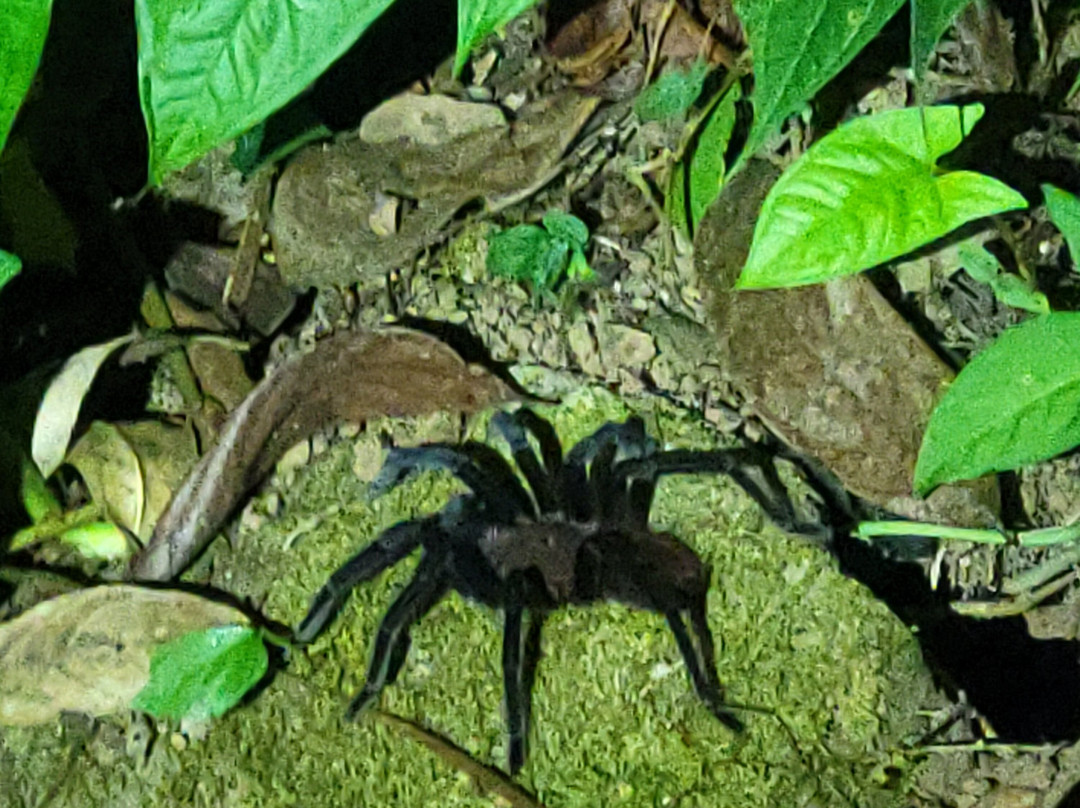 Santa Lucia Falls-乌维塔必去景点