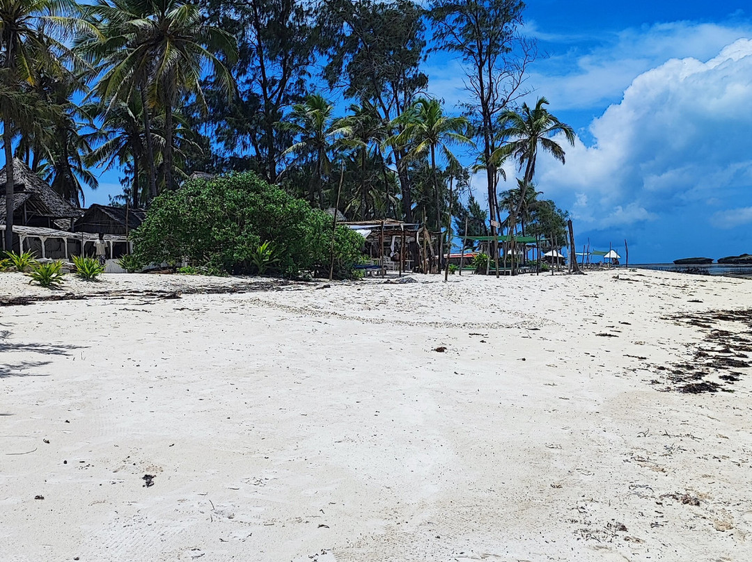 Giornale Kenya Safari - Day Tours-瓦塔木必去景点