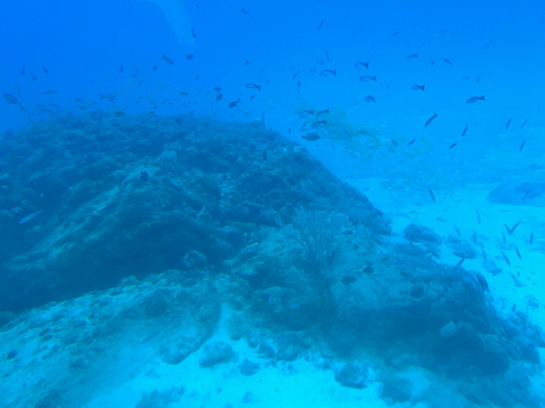 Blue Safari-卓欧毕雪必去景点