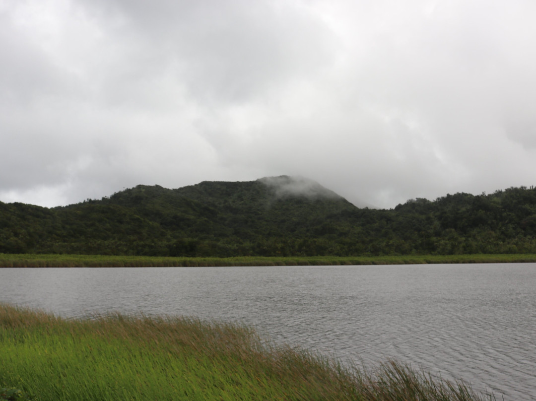 Grand Etang Lake-Grand Etang National Park必去景点