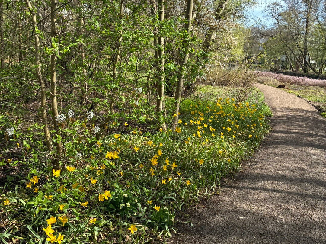 De Braak-阿姆斯特尔芬必去景点