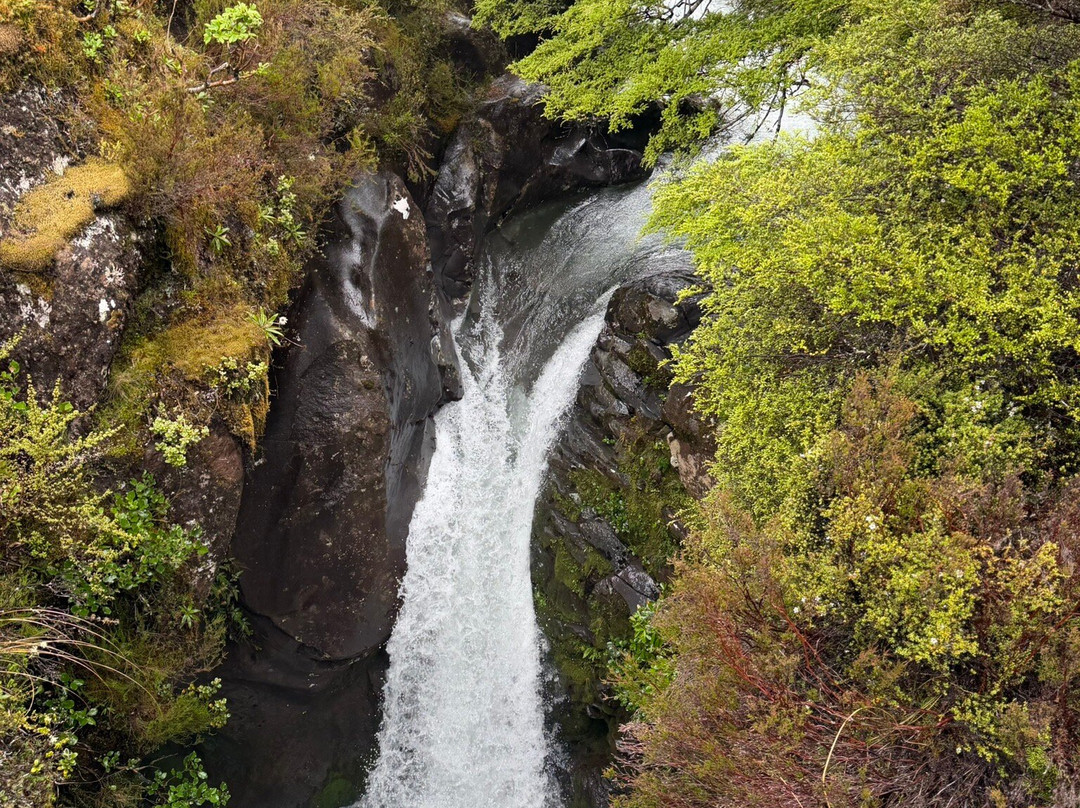 Taranaki Falls-汤加里罗国家公园必去景点