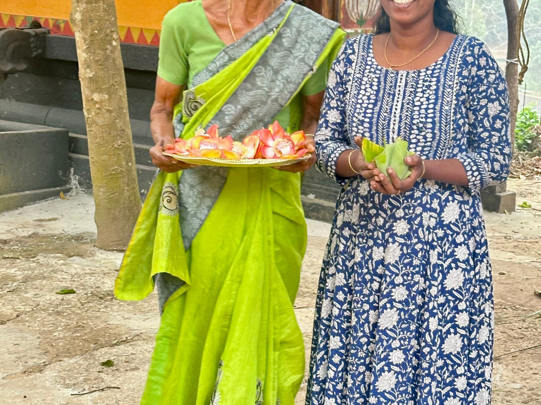 Ayurveda Yoga Villa Group Of Retreat Centres And Hospitals主图