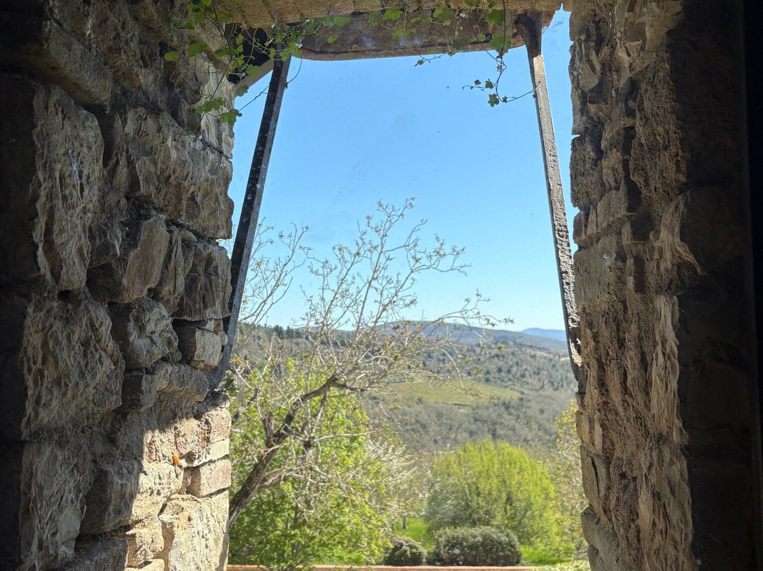 Take Me Out in Tuscany-锡耶纳必去景点