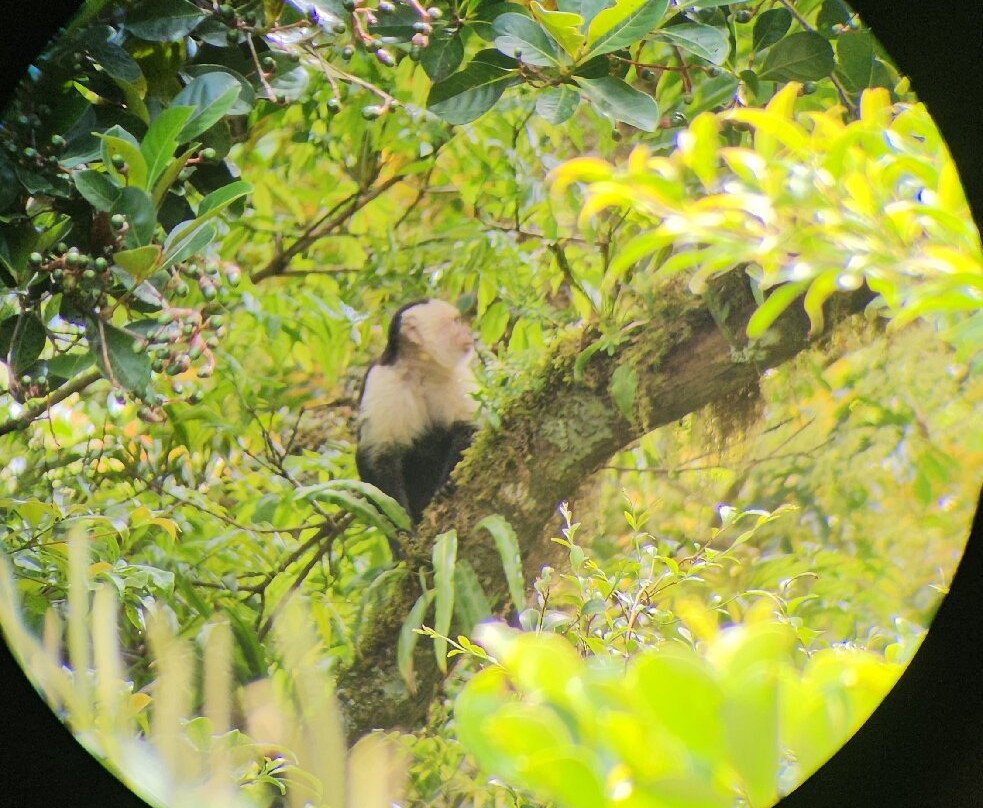 Rafael Elizondo Nature Tours-蒙特维多云雾森林自然保护区必去景点