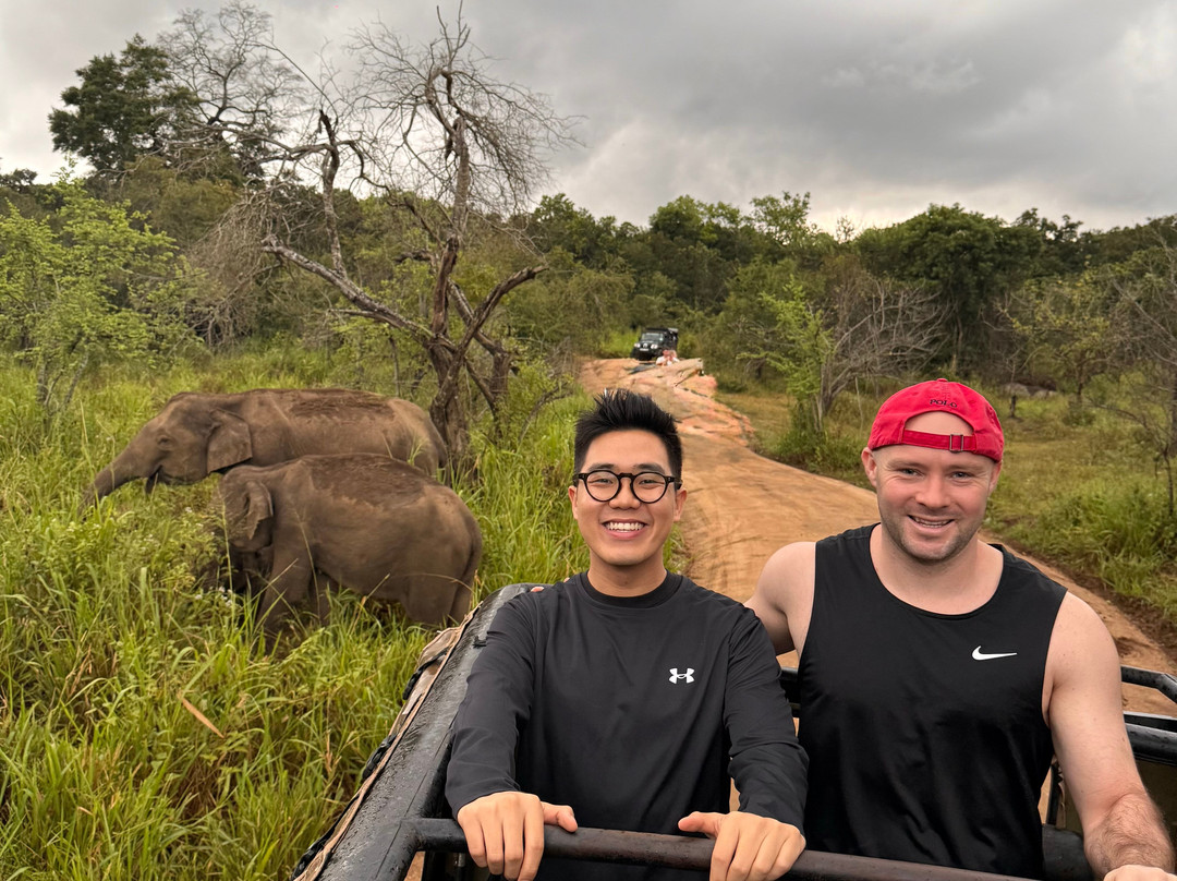 Bhathiya Tours-加勒必去景点