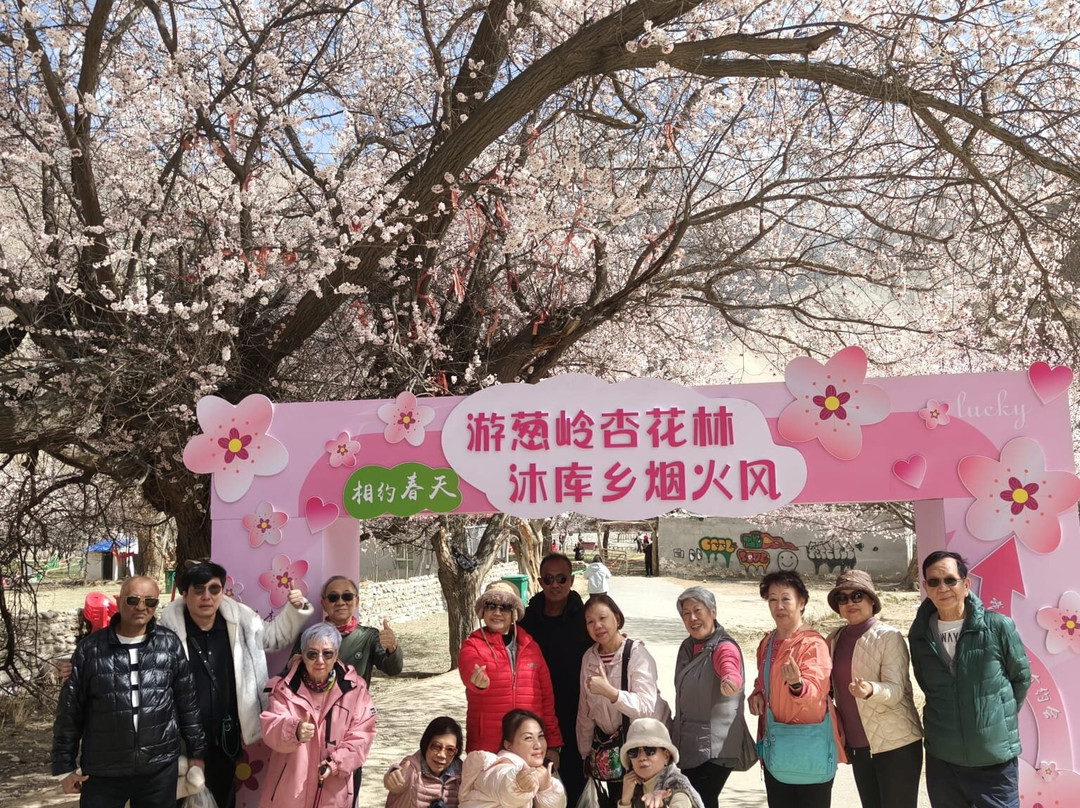 Silk Road Travel-乌鲁木齐市必去景点