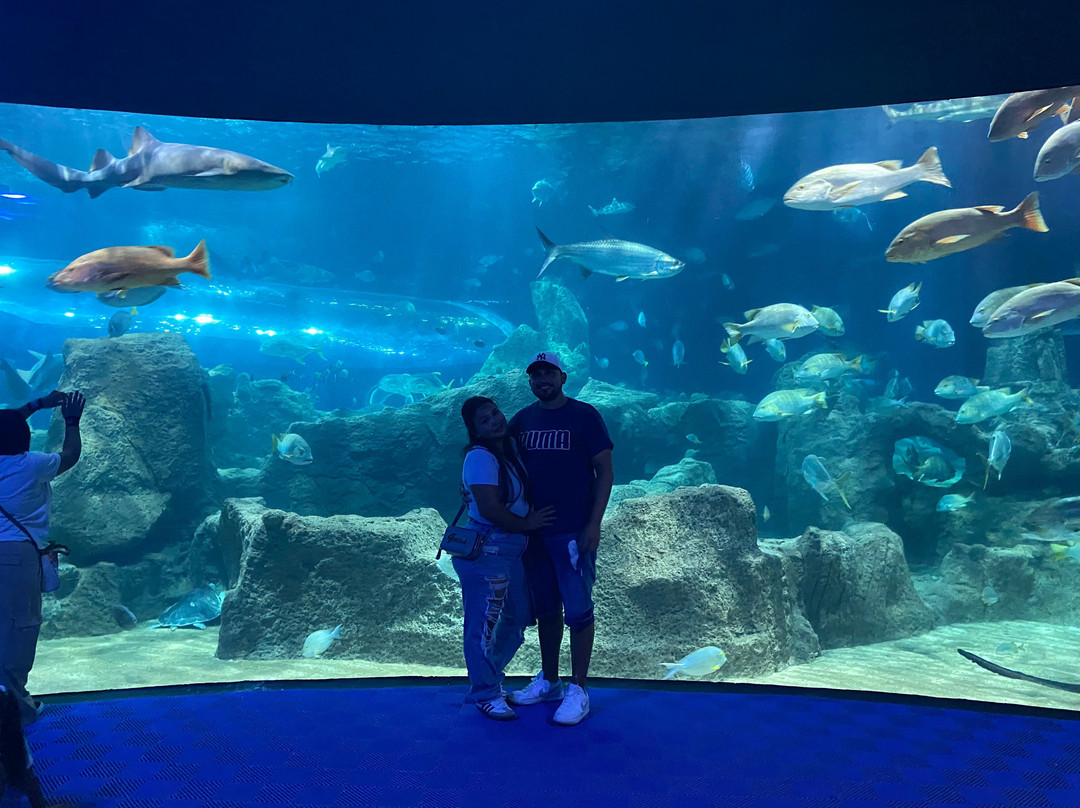 Acuario Michin Guadalajara-瓜达拉哈拉必去景点