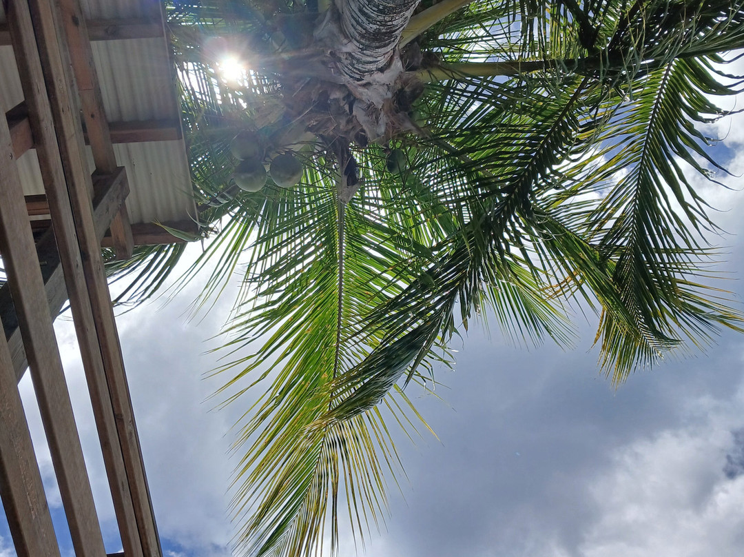 Plage de Malendure-Bouillante必去景点