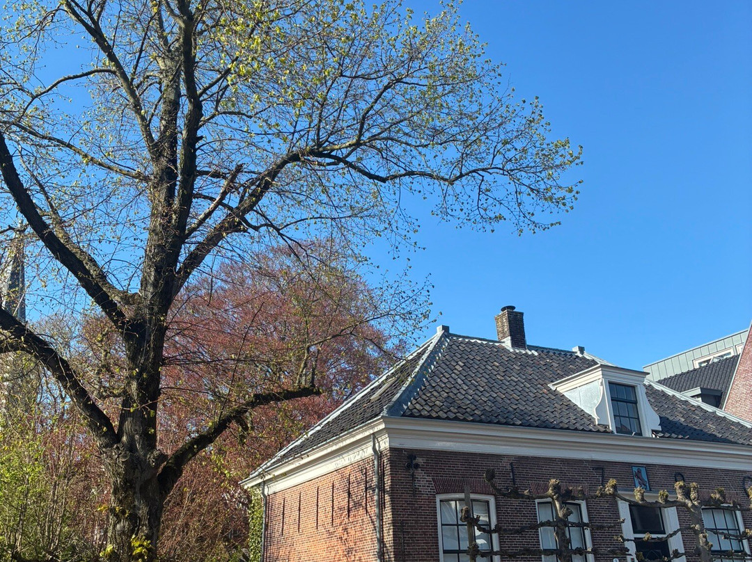Oude Raadhuis Aalsmeer (1789)-Aalsmeer必去景点
