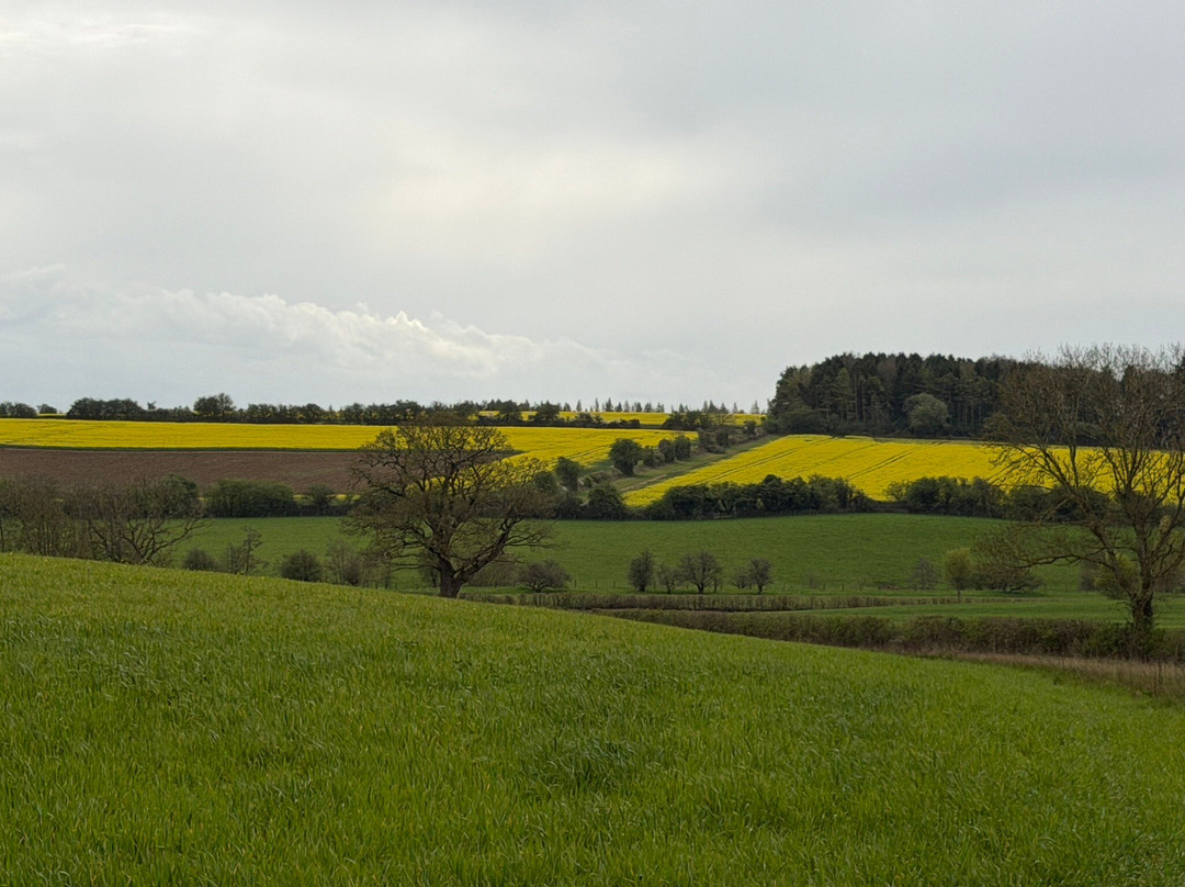 Cotswold Tours & Travel-莫顿因马什必去景点
