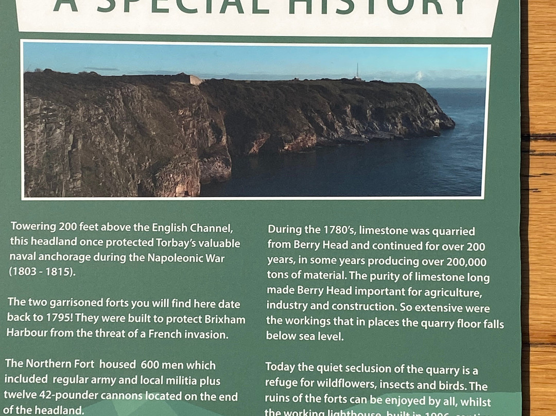 Berry Head National Nature Reserve-布里克瑟姆必去景点
