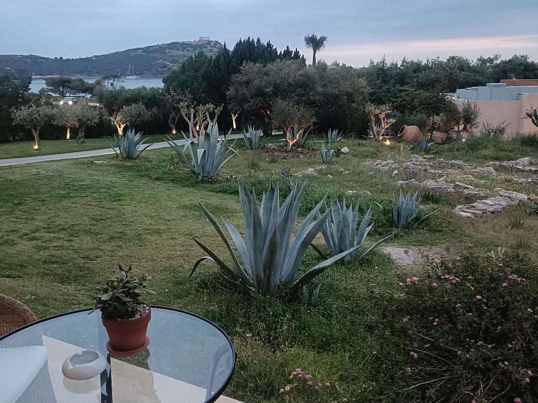 开普敦苏尼翁格雷科泰尔精品度假酒店主图