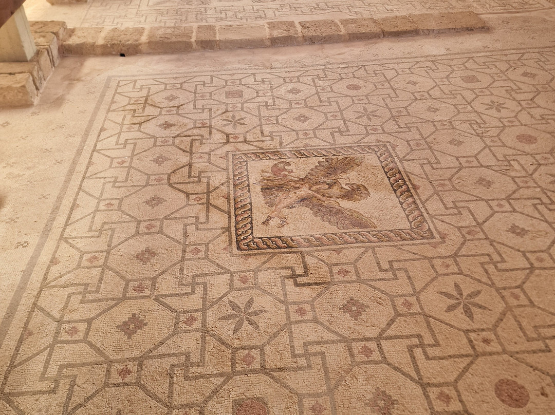 The House Of Dionysus-帕福斯必去景点